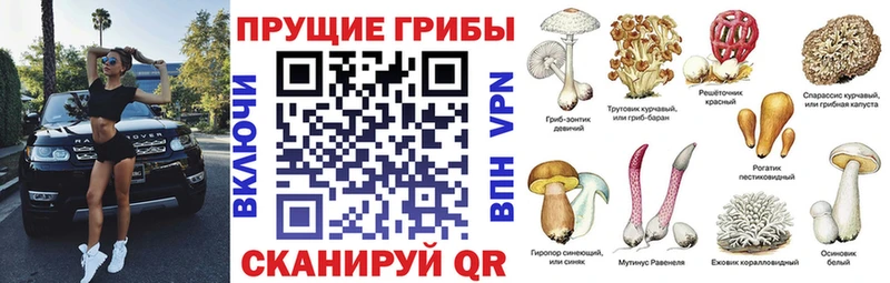 Галлюциногенные грибы MAGIC MUSHROOMS  Радужный 