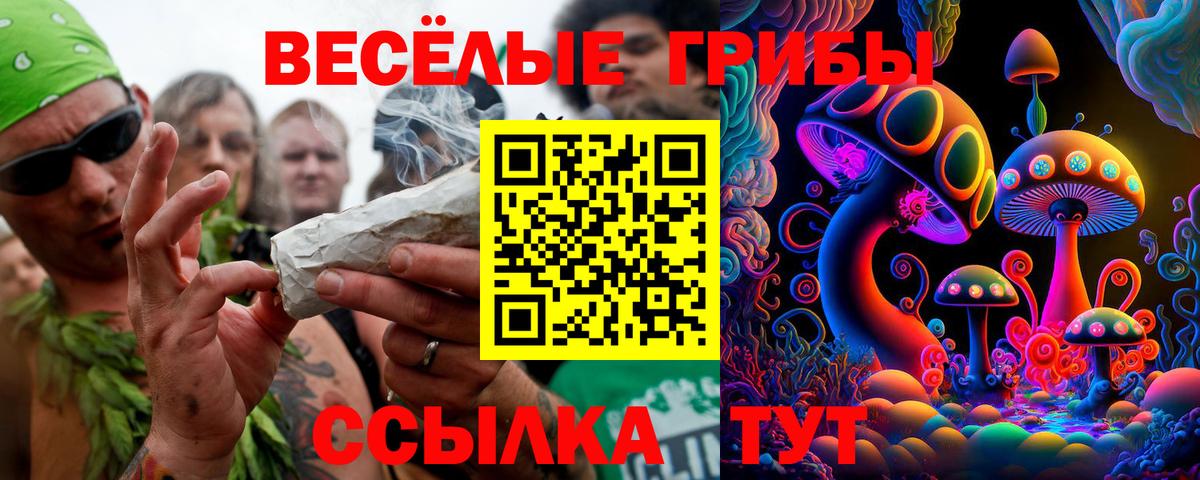 Псилоцибиновые грибы Psilocybine cubensis Радужный